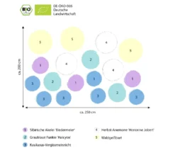 Bio Stauden-Set Schattenplatz, Landlust Kollektion, 18-teilig