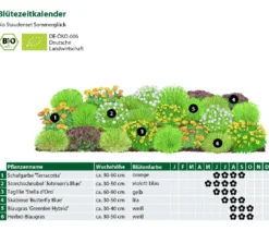 Bio Stauden-Set Sommerglück, 24-teilig