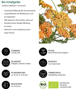 Bio Stauden-Set Sommer in Orange, 24-teilig