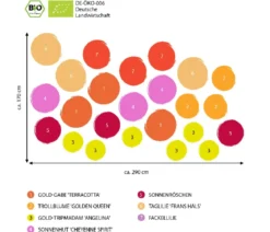 Bio Stauden-Set Sommer in Orange, 24-teilig