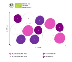 Bio Stauden-Set Sommerpracht, 12-teilig