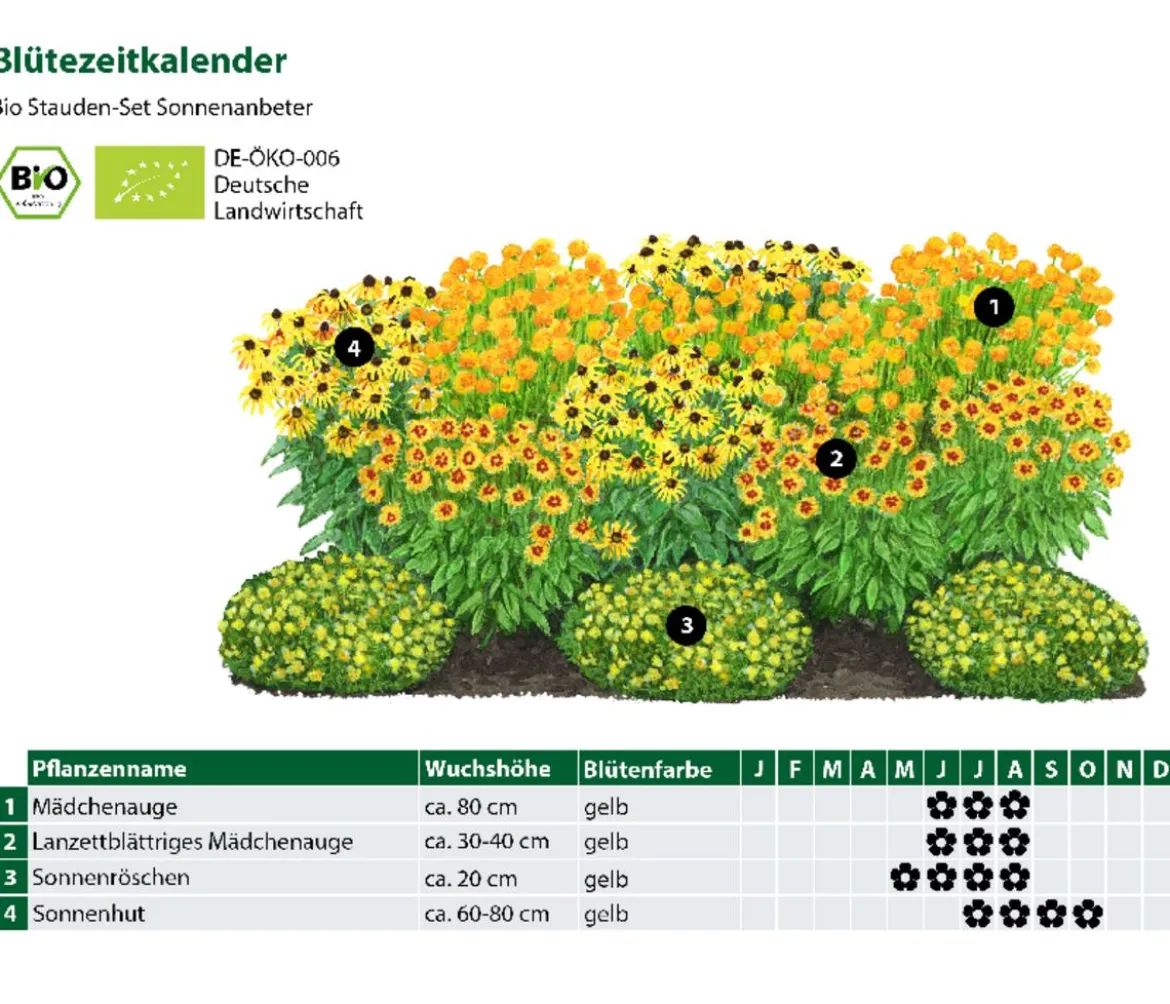Bio Stauden-Set Sonnenanbeter, 12-teilig