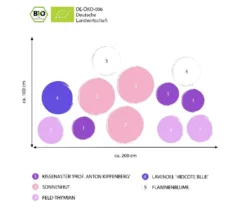 Bio Stauden-Set Sonnenstauden, 12-teilig