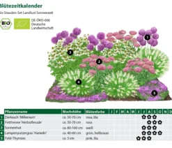 Bio Stauden-Set Sonnenzeit, Landlust Kollektion, 18-teilig