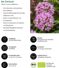Bio Stauden-Set Sonnenzeit, Landlust Kollektion, 18-teilig