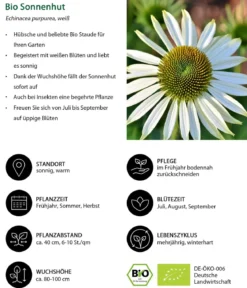 Bio Stauden-Set Sonnenzeit, Landlust Kollektion, 18-teilig