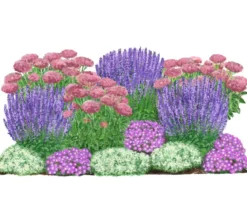 Bio Stauden-Set Terrassenglück, Landlust Kollektion, 12-teilig