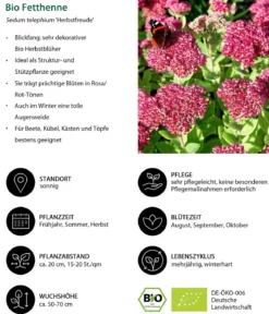Bio Stauden-Set Terrassenglück, Landlust Kollektion, 12-teilig