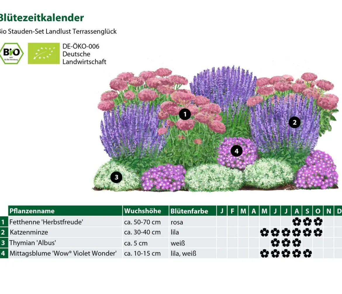 Bio Stauden-Set Terrassenglück, Landlust Kollektion, 12-teilig