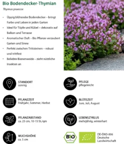 Bio Stauden-Set Trocken durch den Sommer, 24-teilig