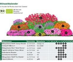 Bio Stauden-Set Trocken durch den Sommer, 24-teilig
