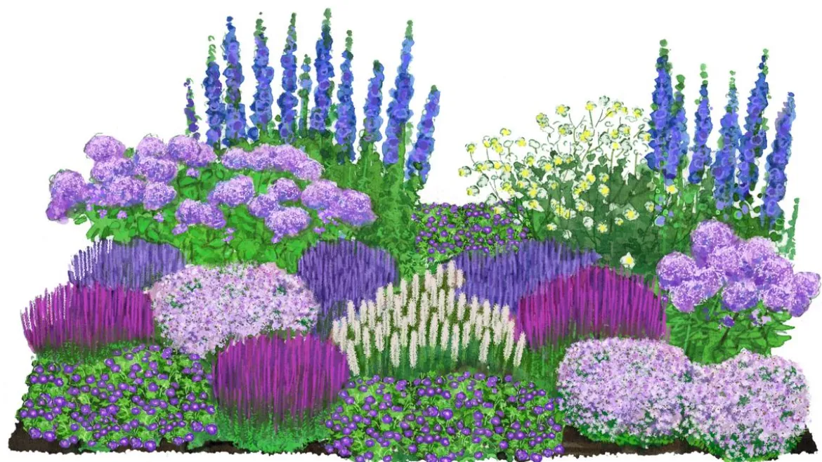 Bio Stauden-Set Weiß-blaues Gartenparadies, 24-teilig