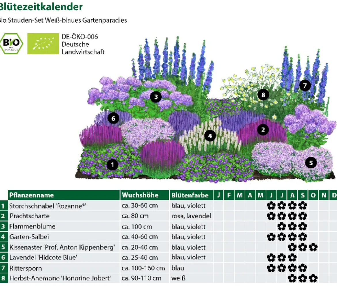 Bio Stauden-Set Weiß-blaues Gartenparadies, 24-teilig