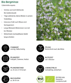 Bio Steinquendel