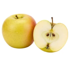 Bio Säulenapfel 'Goldcats' ®, Landlust Kollektion