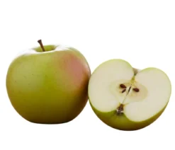 Bio Säulenapfel 'Greencats' ®, Landlust Kollektion