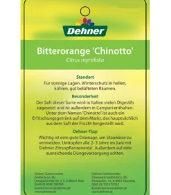 Bitterorange 'Chinotto'
