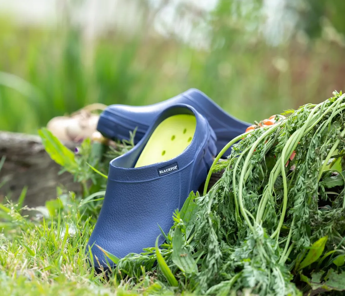 Blackfox Clogs Evasion