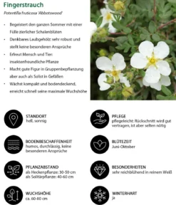 Blütenhecke Nature, 4-teilig