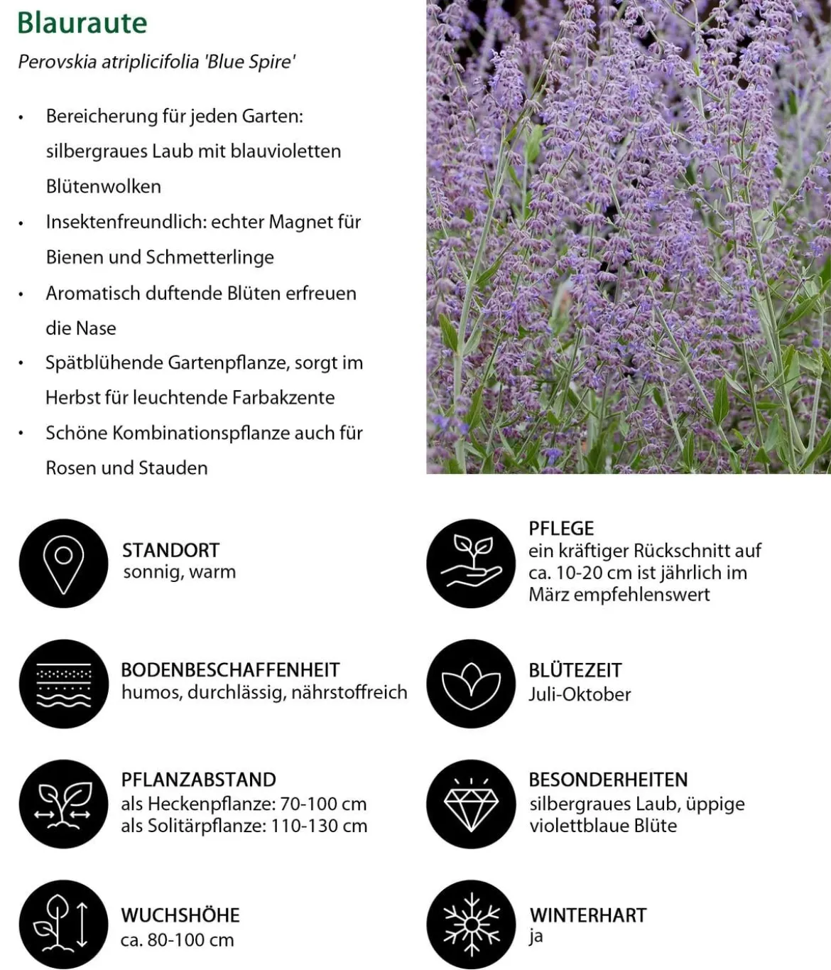 Blütenhecke Nature, 4-teilig