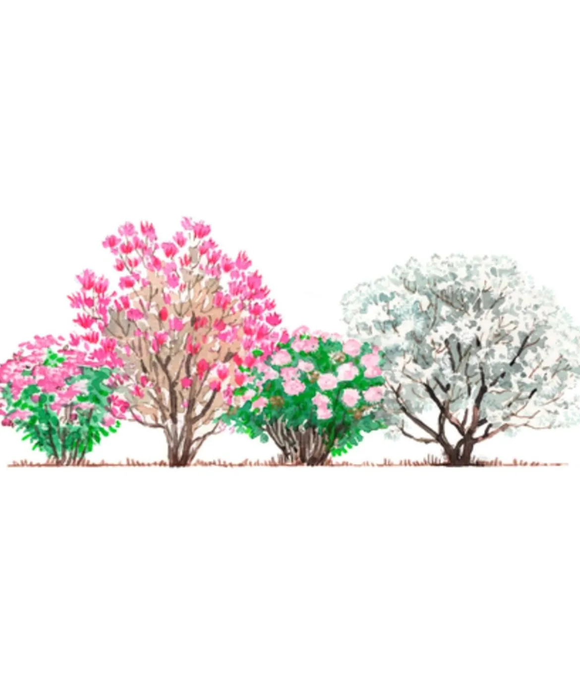 Blütenhecke Pastell, 4-teilig