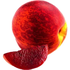 Blutnektarine