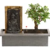 Bonsai, mit Brunnen
