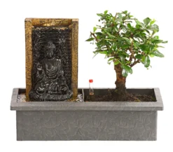 Bonsai, mit Brunnen
