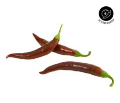 Braune Peperoni, scharf