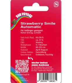 Bud Voyage Hanfsamen Heiterkeit Strawberry Smile, 3 Stk.