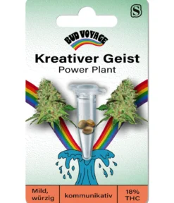 Bud Voyage Hanfsamen Kreativer Geist Power Plant, 3 Stk.