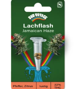 Bud Voyage Hanfsamen Lachflash Jamaican Haze, 3 Stk.