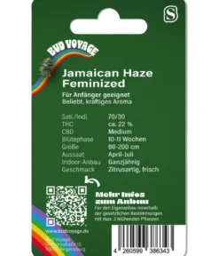 Bud Voyage Hanfsamen Lachflash Jamaican Haze, 3 Stk.