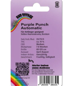 Bud Voyage Hanfsamen Loslassen Purple Punch, 3 Stk.