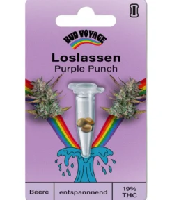 Bud Voyage Hanfsamen Loslassen Purple Punch, 3 Stk.