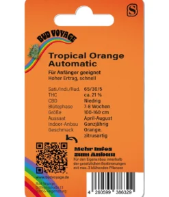 Bud Voyage Hanfsamen Pure Motivation Tropical Orange, 3 Stk.