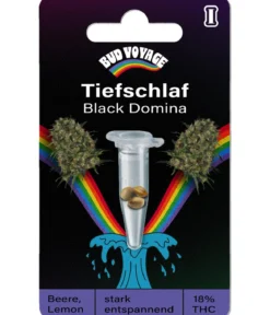 Bud Voyage Hanfsamen Tiefschlaf Black Domina, 3 Stk.