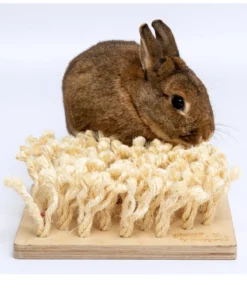 bunny® NATURE by puppijames Nagerspielzeug Schnüffelbrett, ca. B24,5/H9/T24,5 cm