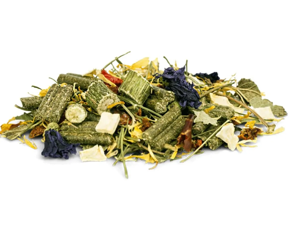bunny® NATURE Degufutter DeguTraum BASIC
