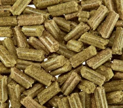 bunny® NATURE Kaninchenfutter KaninchenTraum BASIC