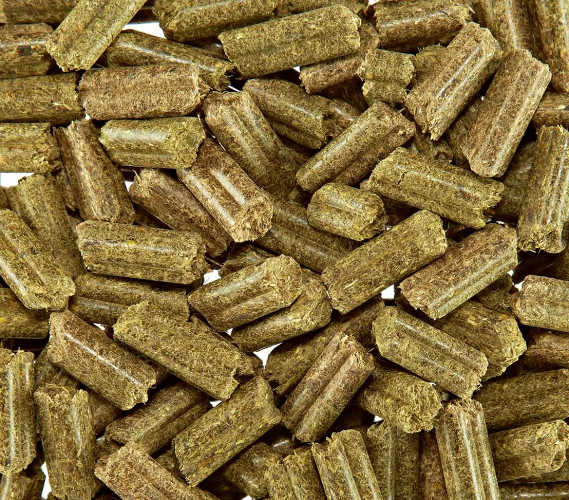 bunny® NATURE Kaninchenfutter KaninchenTraum BASIC