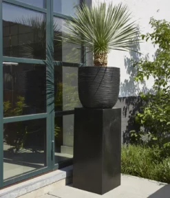 Capi Europe Kunststoff-Säule Smooth NL, quadratisch