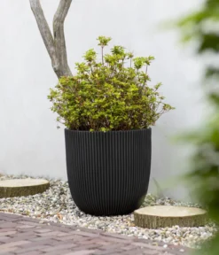 Capi Europe Kunststoff-Topf Groove, rund
