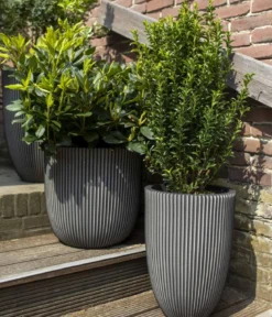 Capi Europe Kunststoff-Topf Groove, rund