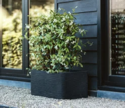 Capi Europe Kunststoff-Topf Nature Rib NL, rechteckig