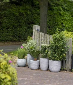Capi Europe Kunststoff-Topf Nature Rib NL, konisch