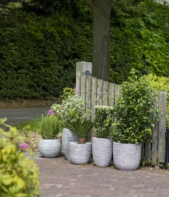 Capi Europe Kunststoff-Topf Nature Rib NL, konisch