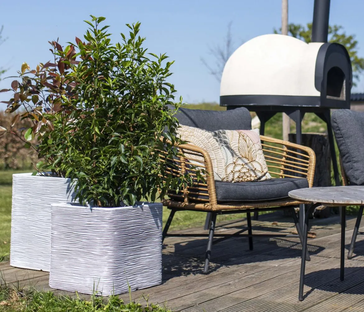 Capi Europe Kunststoff-Topf Rib, quadratisch