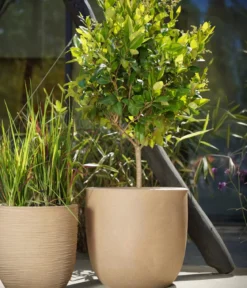 Capi Europe Kunststoff-Topf Urban Smooth NL, rund