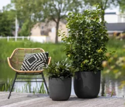 Capi Europe Kunststoff-Topf Urban Smooth NL, rund